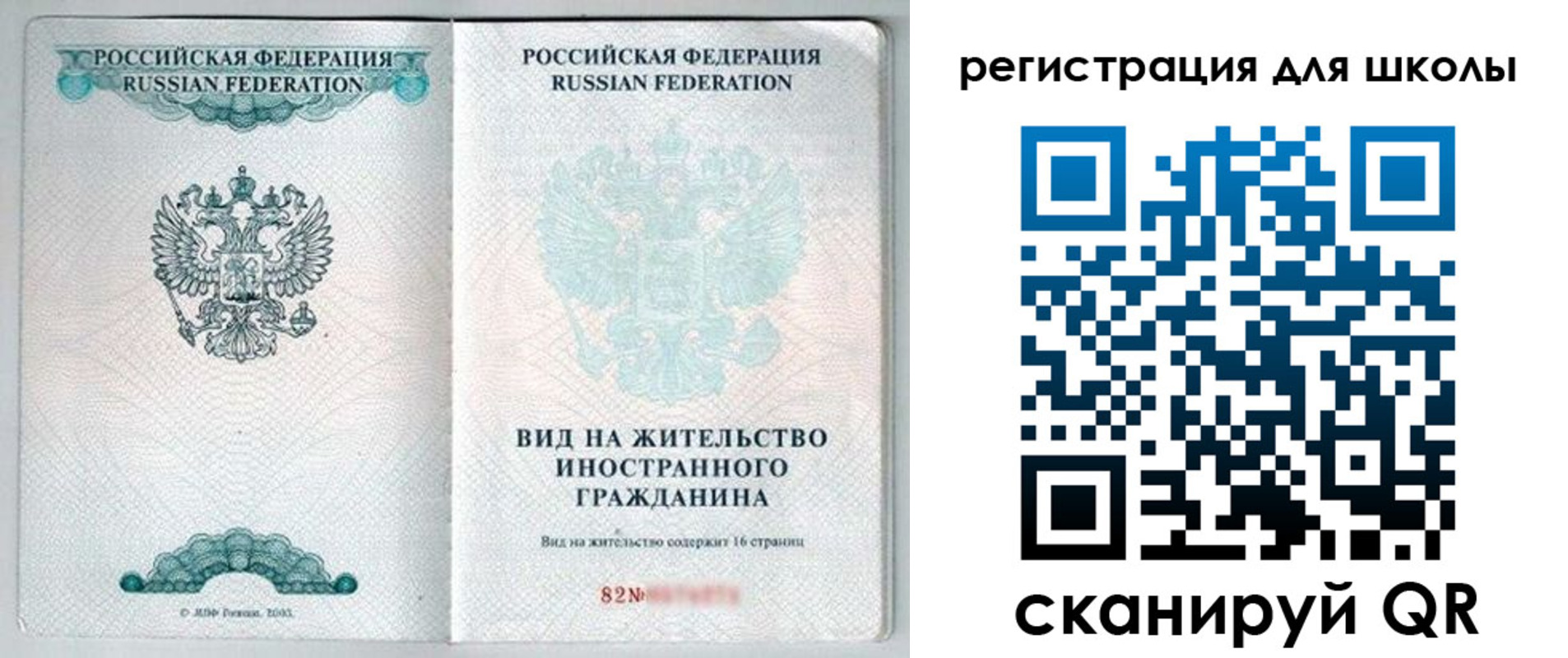 прописка гарантия в Димитровграде